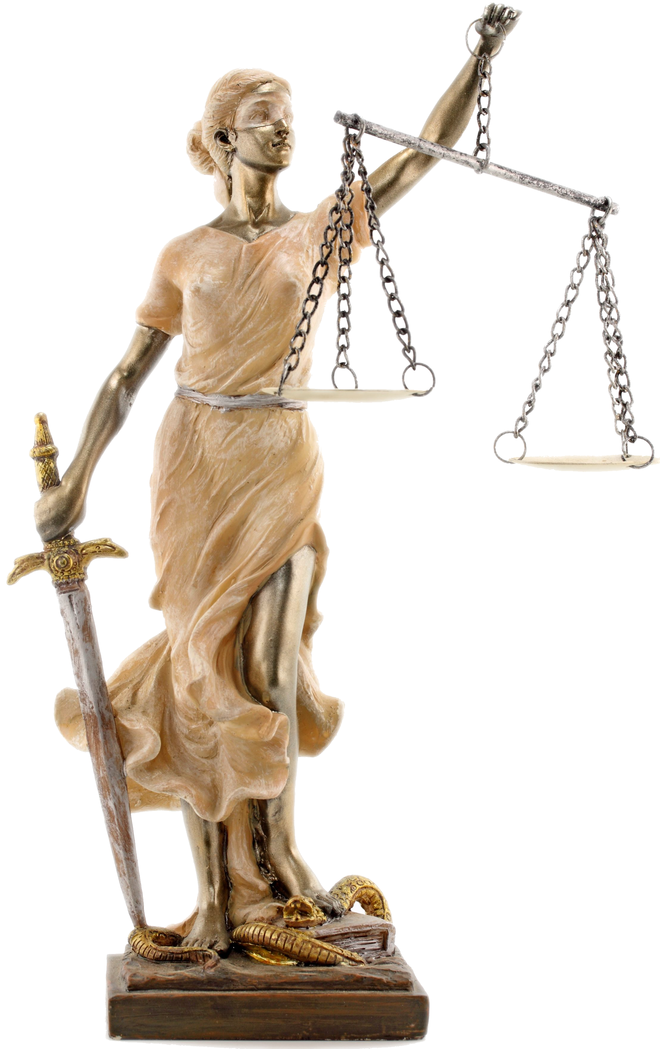 Магистр уголовного, гражданского и административного судопроизводства