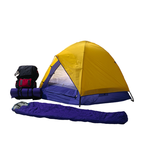 Поступить на профиль Туризм и гостеприимство