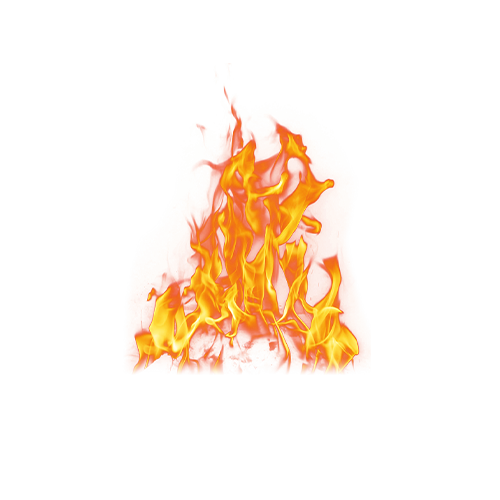 Пожарная безопасность (управление, надзор и аудит)