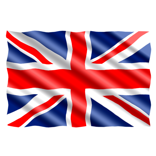 Иностранный язык (английский) Иностранный язык (английский)