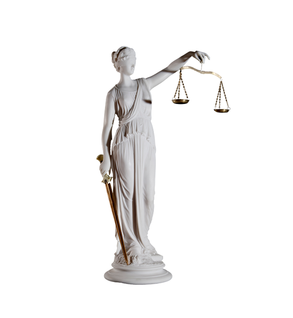 Поступить на профиль Уголовно-правовая специальность (специалитет)