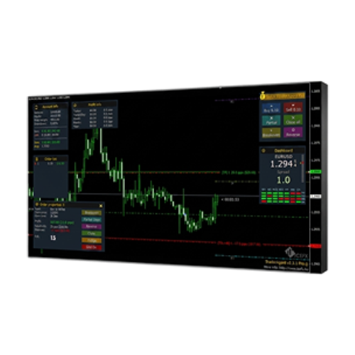 Поступить на профиль Веб-разработка